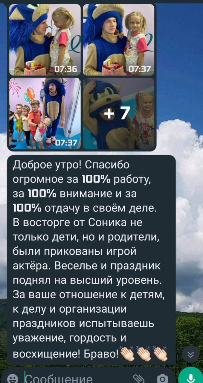В восторге от Соника не только дети, но и родители